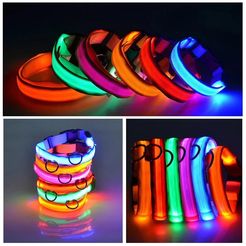 Glowing Safety: USB LED Dog Collar