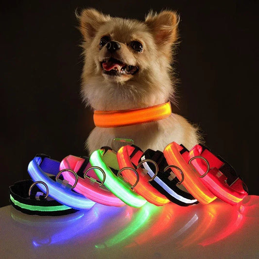 Glowing Safety: USB LED Dog Collar