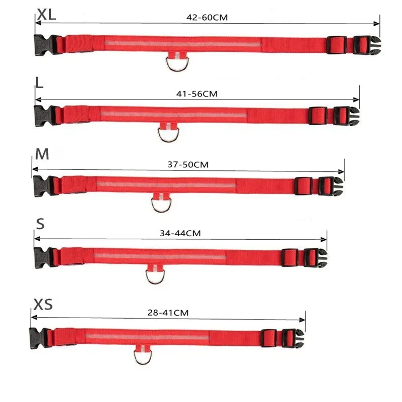 Glowing Safety: USB LED Dog Collar